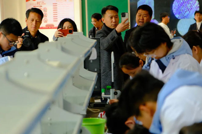 {KS:Field:Title} 第 4 张