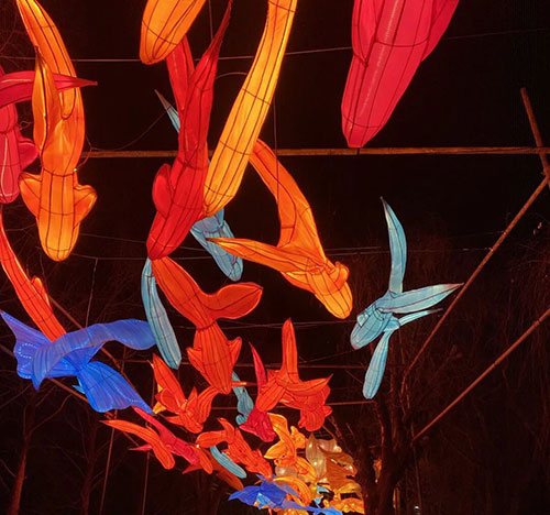 一街灯火迎新春,年味尽在龙园金街3.jpg 一街灯火迎新春,年味尽在龙园金街3.jpg